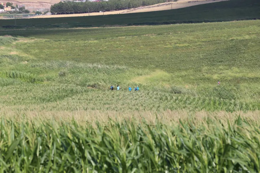 Kayıp Narin bulundumu? Narin Güran’ı arayan ekipler ihbar üzerine harekete geçti: Çalışmalarderede yoğunlaştı 22