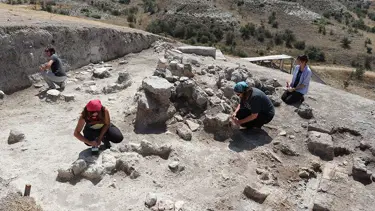 3500 yıllık üzüm çekirdeği kalıntısı bulundu