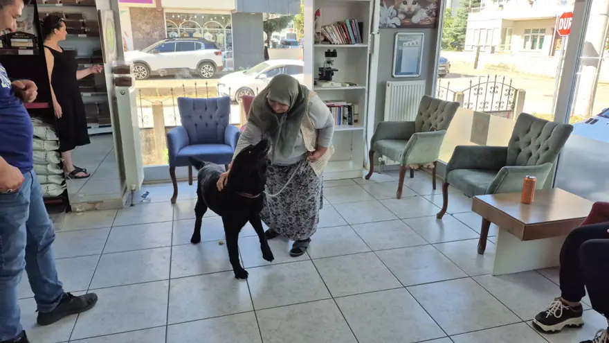 ''BİR DAHA HABER ALAMADIK'' 2