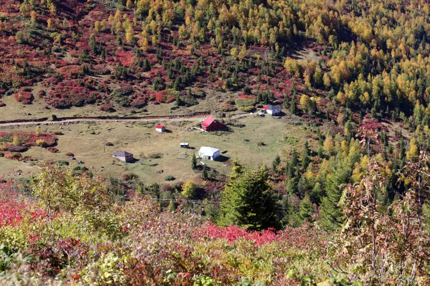 Trabzon-Giresun sınırındaki Sis Dağı'nda güz zamanı 6