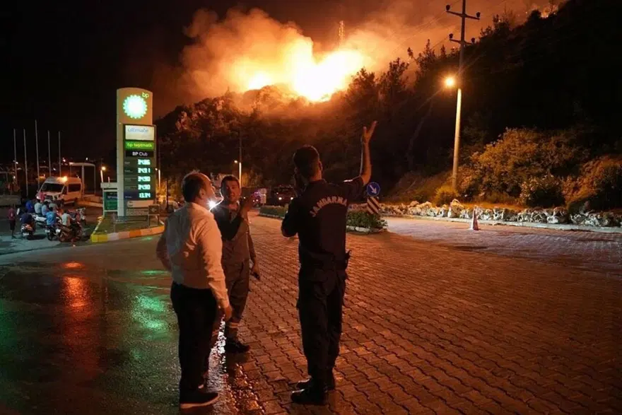 9 hektar ormanı yakan sigara izmaritini atan kişi tutuklandı 2