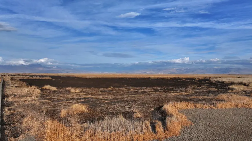 Sultan Sazlığı Milli Parkı'ndaki yangın söndürüldü 7