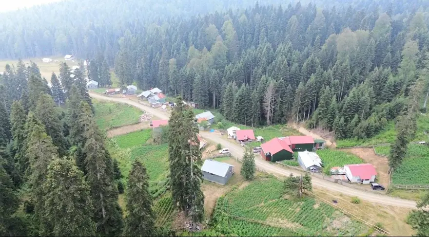 Sıcak havadan bunalan oraya koşuyor! En sıcak günlerde bile 13 derece 