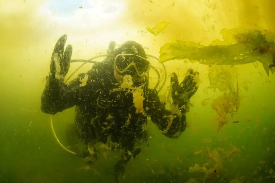 ODTÜ’denendişelendiren tespit: “Kritik eşik aşıldı, Marmara komada!” 