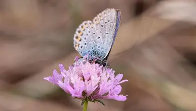 Sıcacık bir başlangıç: Temmuz ayı ile ilgili mesajlar