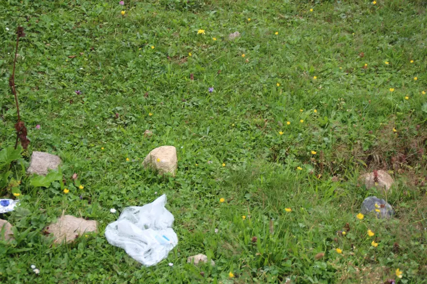 Yaylaya çöp bırakan piknikçilere tabelalı uyarı: Bu bölge ineklerin piknik alanıdır 4