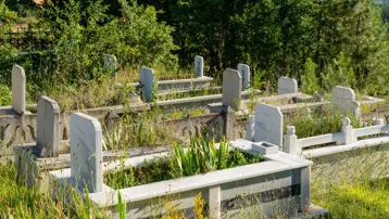 Ölüler üzerinden 100 milyon liralık tapu vurgunu