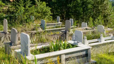 Ölüler üzerinden 100 milyon liralık tapu vurgunu