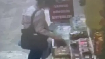 Zonguldak'ta ceviz hırsızlığı: Kameralara yansıdı