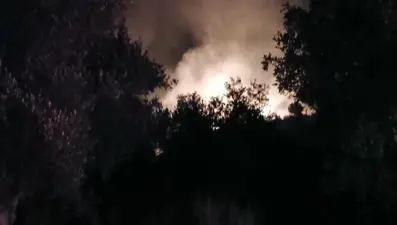 Döşemealtı'ndaki orman yangınında 7 dekarlık alan zarar gördü