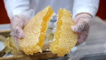 Devlet desteğiyle tesis kurdu: 20 kişiye iş imkanı sağladı