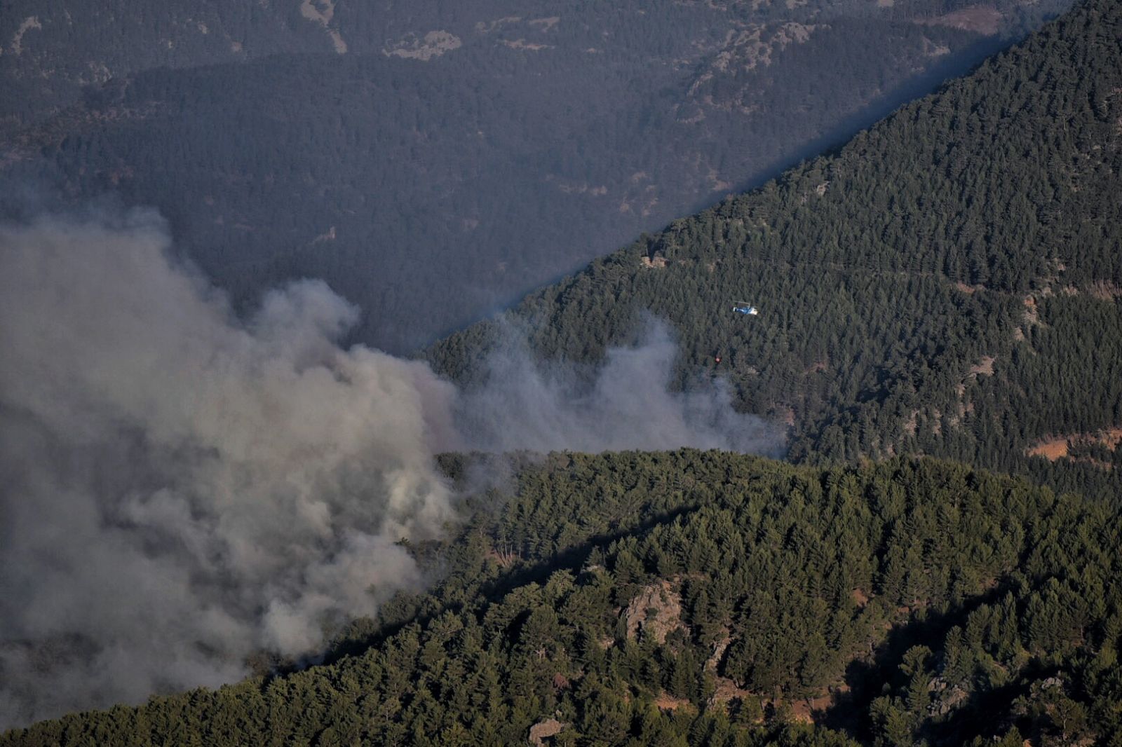 Hatay ve Mersin'de orman yangını