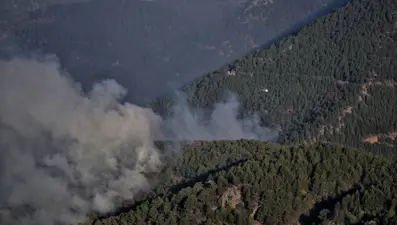 Hatay ve Mersin'de orman yangını