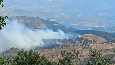 Kahramanmaraş’ta orman yangını: Ekipler müdahale ediyor