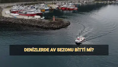 Balıklarda av yasağı tarihleri: Balık avı sezonu bitti mi? 2024-2025 av yasağı başladı mı?
