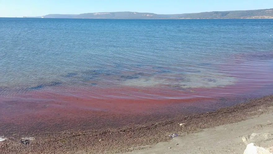 Çanakkale’de sahil kırmızıya boyandı 1 Çanakkale’de sahil kırmızıya boyandı 1