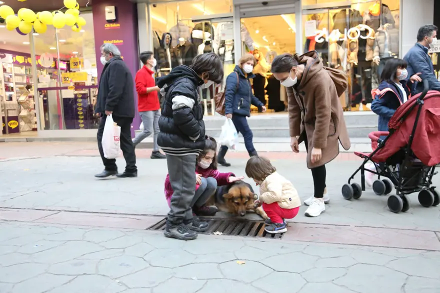 KÖPEĞIN ADI MAZGAL OLARAK KALDI 5 KÖPEĞIN ADI MAZGAL OLARAK KALDI 5