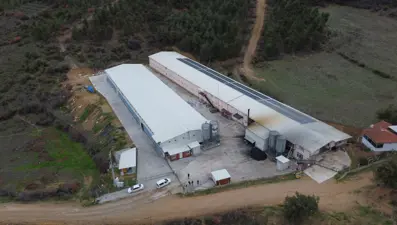 Devlet desteğiyle tesis kurdu:  70 binden 92 bine çıkardı