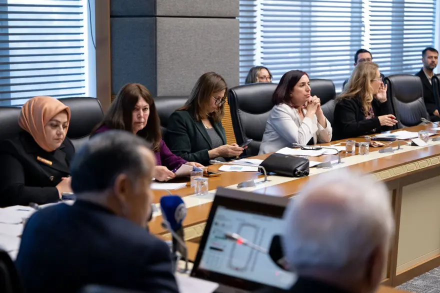 Narin’in kuzenlerinedevlet koruması 2