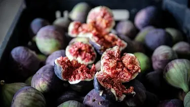 Türkiye'nin coğrafi işaretleri dijital platformda (Nesi meşhur sorusunun cevabını verecek)