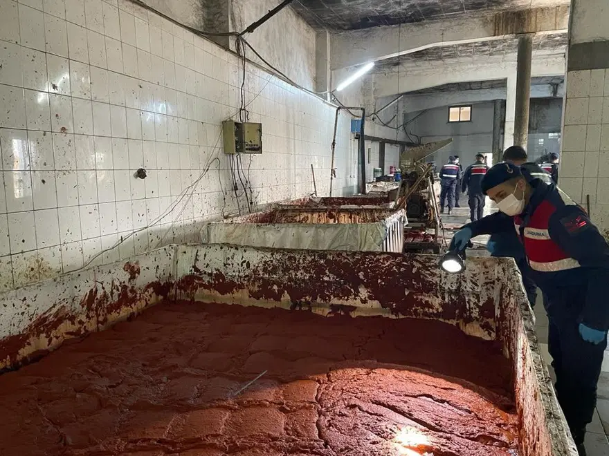 Besi çiftliğinde insan sağlığına aykırı salça üretimi Besi çiftliğinde insan sağlığına aykırı salça üretimi