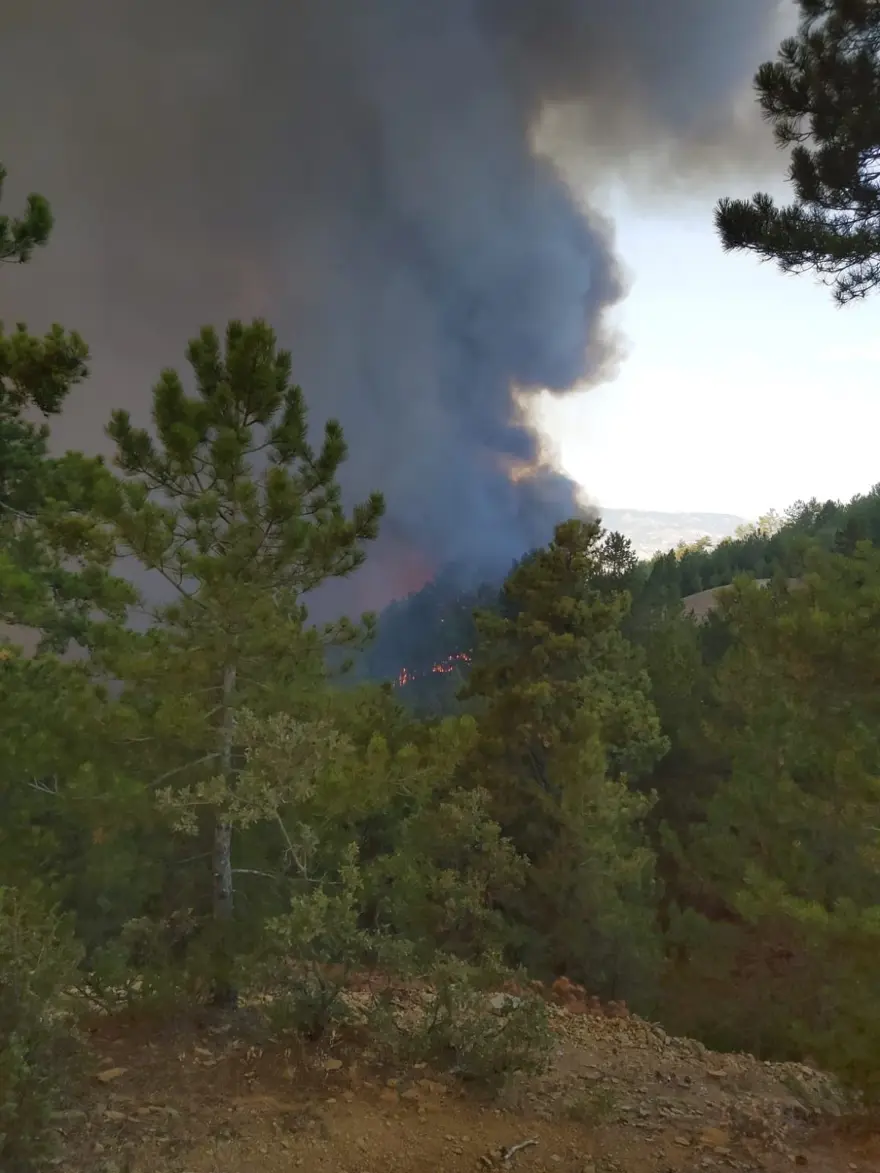 Çorum’da orman yangını 3 Çorum’da orman yangını 3