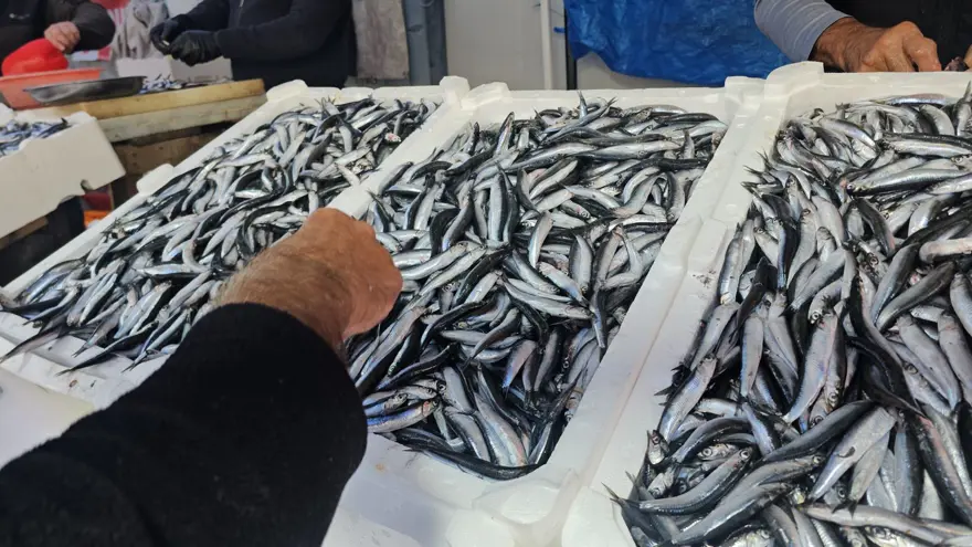 Bolluk fiyatlara yansıdı: 250 liraydı şimdi 70 liradan satılıyor 2