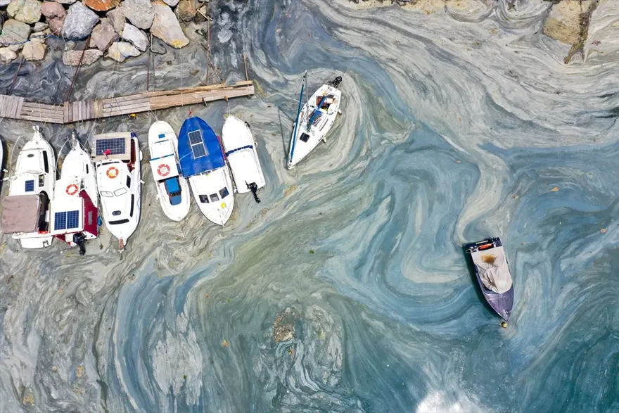ODTÜ'den Marmara'da 'derin' inceleme 8