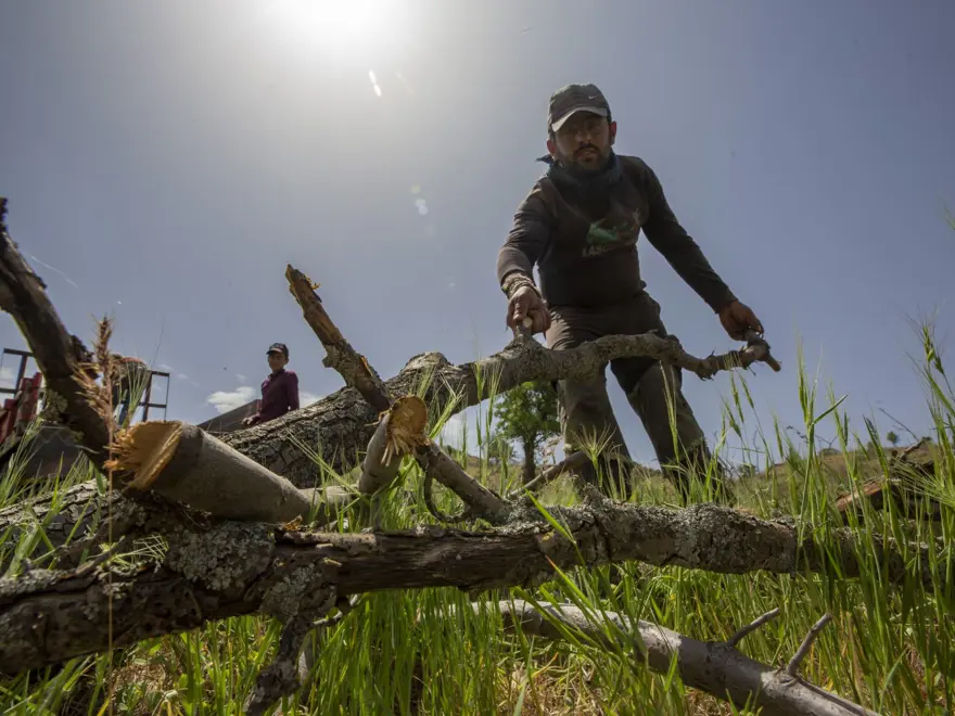 "HER YERİMİZ KÖMÜR KARASI OLUYOR" 5