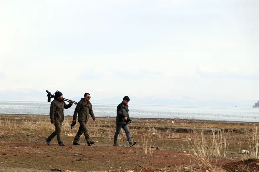 Van Gölü'nde flamingolar göç etmedi 4