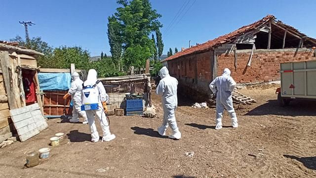 Tokat'ta kuş gribi şüphesi: 200 hayvan itlaf edildi