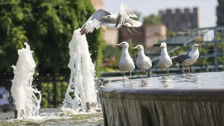 Eyyam-ı bahur geliyor! Türkiye, bu tarihlerde kavrulacak 4