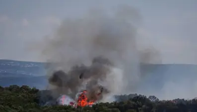 Bursa'da orman yangını