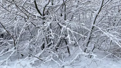 Kırklareli’nin yüksek kesimlerinde kar etkili oldu