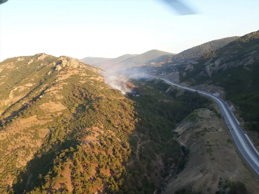 Balıkesir'de orman yangını 1