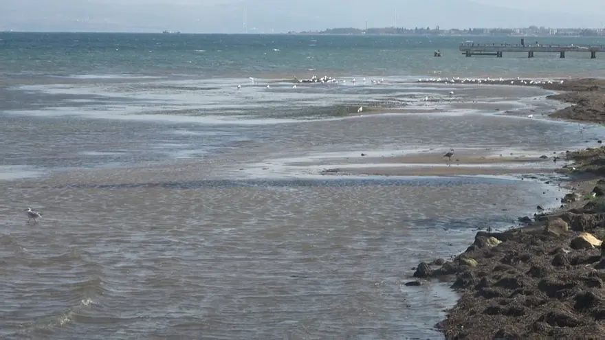 Deniz suyu 5 metre çekildi: Deniz şişmesi olarak da biliniyor 1