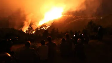 Bakanlık'tan "Orman Yangınları" konulu genelge