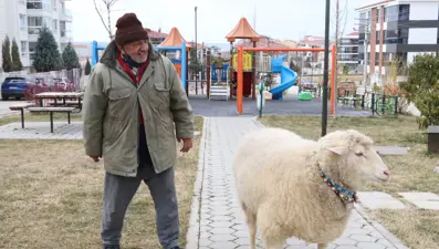 3 aylıkken aldı, kesemeyince beslemeye başladı: 4 yıldır yanından ayrılmıyor