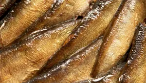 Beyin yaşlanmasını önlüyor: Uzmanlara göre hafızayı güçlendiren 8 vitamin