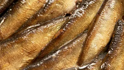 Beyin yaşlanmasını önlüyor: Uzmanlara göre hafızayı güçlendiren 8 vitamin