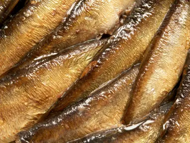 Beyin yaşlanmasını önlüyor: Uzmanlara göre hafızayı güçlendiren 8 vitamin