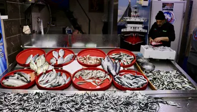 Kilosu 75 liraya satılıyor: Balıkçı tezgahlarına bereket getirdi