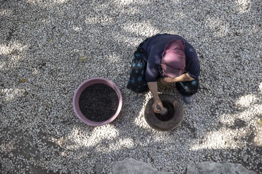 Kahve gibi içiyorlar! Kilosu 400 liraya alıcı buluyor 3