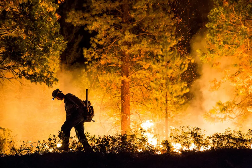 ABD'nin batısında ormanlar yanıyor 4