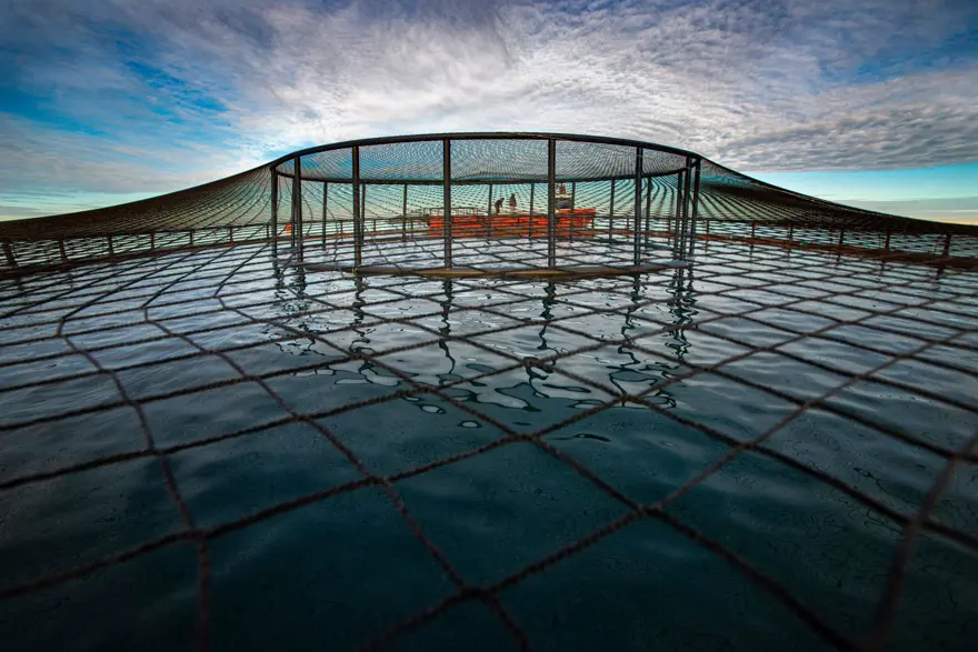 Balık fotoğrafı yarışmasında kazananlar belli oldu 7