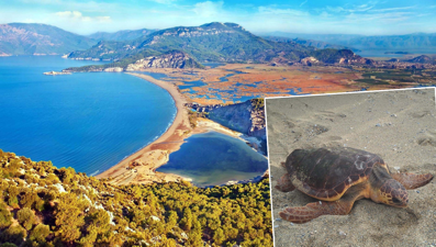 İki aydır haber yok: Güzel İzmir'in sinyali Gazze açıklarında kesildi