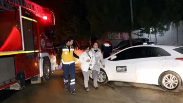 Kedi ev sahibini yangından kurtardı