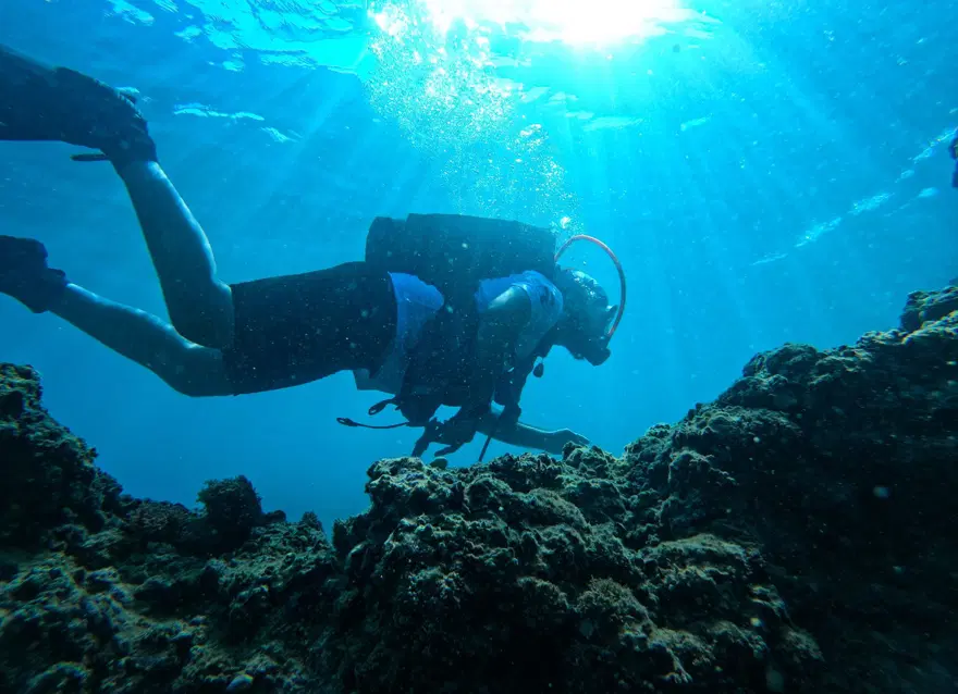 Fotoğraf tutkunu dalgıçlar, Mersin kıyılarındaki su altı kanyonlarını görüntülüyor 9