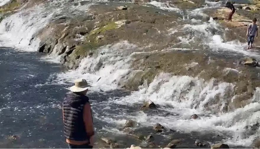 İnci kefalinin göçü turistlerin ilgi odağı oldu: Binlerce kilometreyi aşıp geldiler 3