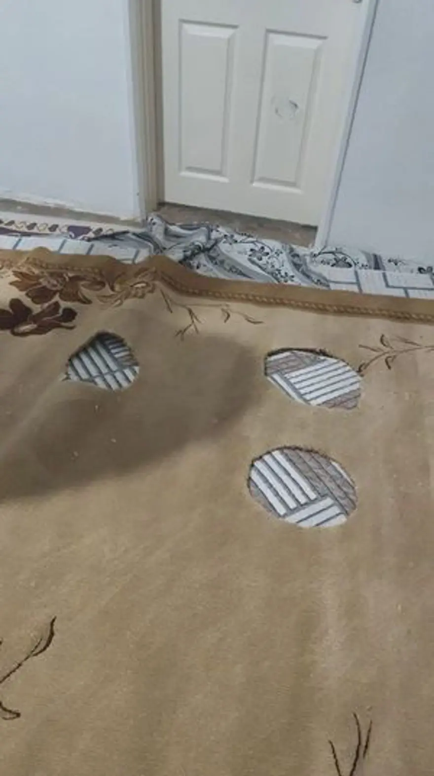 HALILAR MERCEK ALTINA ALINDI 6 HALILAR MERCEK ALTINA ALINDI 6